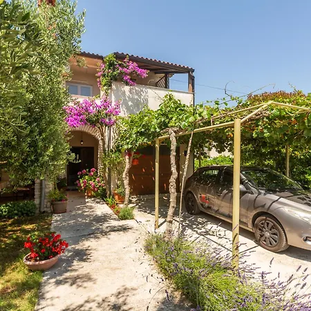 Appartement Anica Stinjan Pula